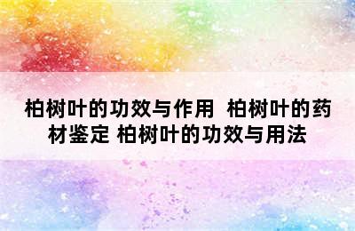 柏树叶的功效与作用  柏树叶的药材鉴定 柏树叶的功效与用法